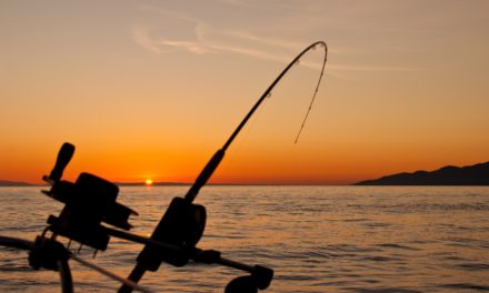 Derfor regnes Norge som en helårs fiskedestinasjon