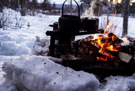 Bli kjent med tradisjonell norsk mat og matkultur
